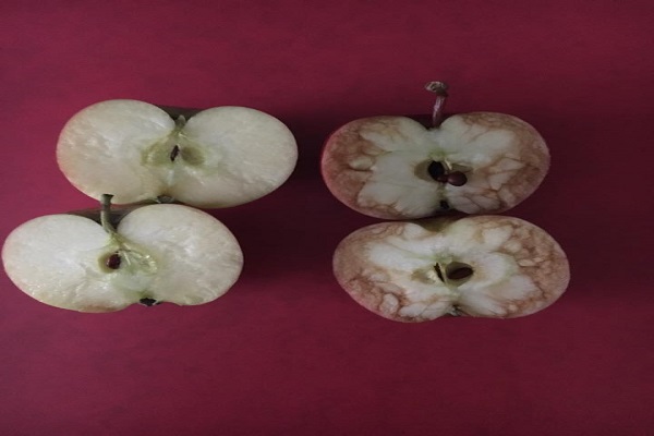 Пресечени јаболки