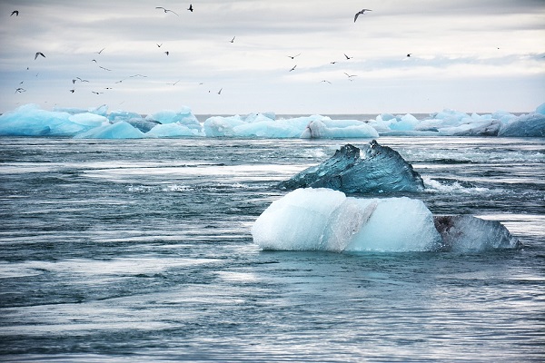 Арктички Океан