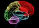 Со стимулирање на само два неврони во мозокот може да се предизвика халуцинација