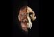Пронајден череп што открива како изгледале древните предци на човекот