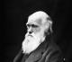 По примерот на Чарлс Дарвин и Чарлс Дикенс: зошто помалку работа значи поголема продуктивност?