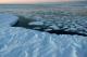 На Антартикот се отворила мистериозна дупка со големина на Холандија