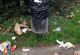 Во оваа европска земја ќе се донесе ригорозен закон за фрлање ѓубре - казна до 3.600 евра
