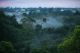 Бразил годишно губи околу 10.000 квадратни километри прашума