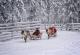 Лапонија: Дури и кога не верувате во Дедо Мраз, ќе се уверите во зимската магија