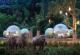 Во Тајланд можете да спиете во проѕирни куполи опкружени со слонови