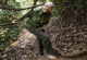 Експертот за шимпанза Џејн Гудал вети дека ќе засади 5 милиони дрвја во 2020 година