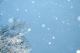 Дали снегот и ниските температури влијаат врз коронавирусот?