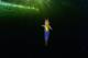 Видео од суштество познато како морски ангел што плива под мразот во Белото Море ги одушеви научниците