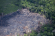 За една година во Амазонија се уништени шуми колку Либан