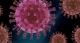 Во последното деноноќие: 115 новозаболени со коронавирус, 7 починати и 40 оздравени