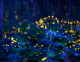 Фотограф фатил магичен момент од стотици светулки во јапонска шума