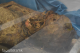 ДАЛИ ЗНАЕТЕ: Каде е пронајдена единствената мумија во Македонија?