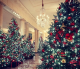 Божиќни традиции што се негуваат во Белата куќа
