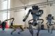 Зад кулисите на „Бостон дајнемикс“ - компанијата што произведува роботи