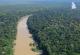 Има од кого да учиме: Домородните народи во Амазон со милениуми практикуваат заучувување на шумите