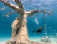 Во Кипар e отворен подводен музеј за нуркачите