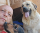 Србин сам направил засолниште за бездомни кучиња - досега спасил над 1.000