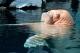 Потребни се 500.000 лица да бараат моржови на фотографии