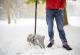 Наместо тренинг, средношколци им го чистеле снегот на соседите