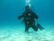 Под вода е како на друга планета, вели професионалниот нуркач Александар Ацев