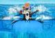 Дизајниран дрон што лета и нурка под вода