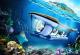 Луксузно одморалиште во Виетнам нуди патување со стаклена подморница