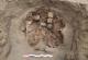 Во Перу пронајдени скелети на 76 деца: Археолозите тврдат дека откриле траги од брутални ритуали