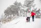 Причини зошто треба да пешачите по снег и студ