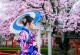 Јапонски град го зајакнува туризмот со ангажирање гејши