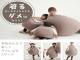 Јапонска компанија дизајнира вреќа за носење која ќе ви овозможи да се одморите каде било