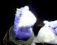 ОН: Производството на кокаин порасна на рекордно високо ниво по укинувањето на мерките поради ковид-19