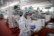 Бразил воведе шестмесечна вонредна состојба поради птичји грип
