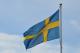 Професии што може да се работат во Шведска без познавање на јазикот