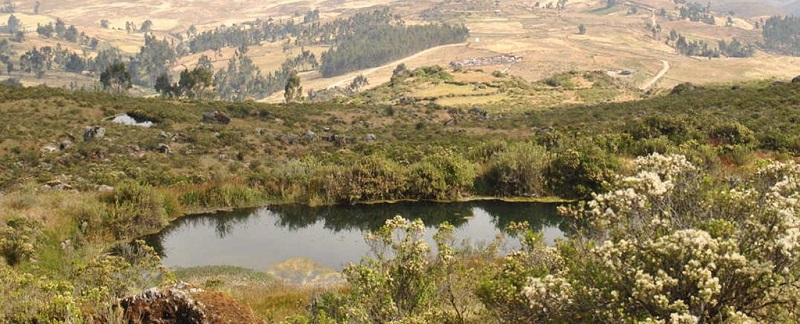 Антички систем може да го спаси Перу од недостиг на вода