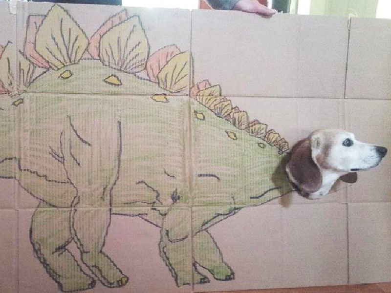 Сопствениците на миленичиња во карантин користат картонски кутии за да ги претворат во диносауруси