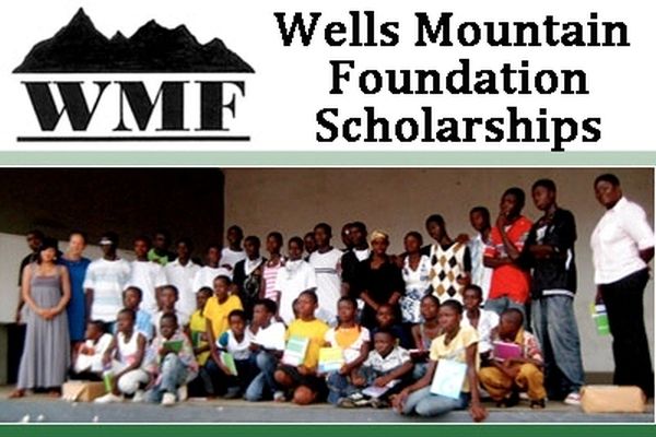 Стипендија „Wells Mountain Foundation Empowerment“