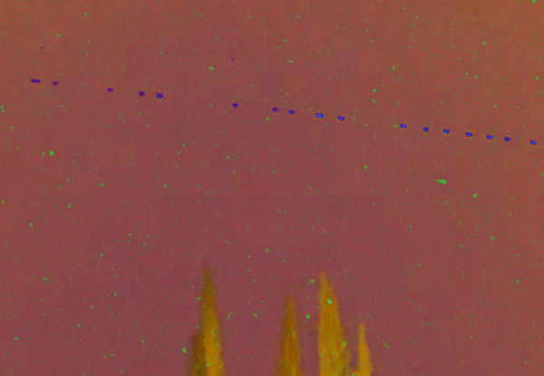 Не е НЛО, тоа е сателит на Илон Маск