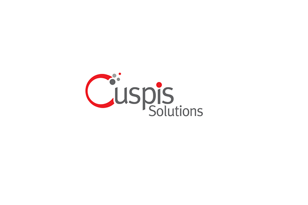 Cuspis Solutions вработува ASP.NET Developer