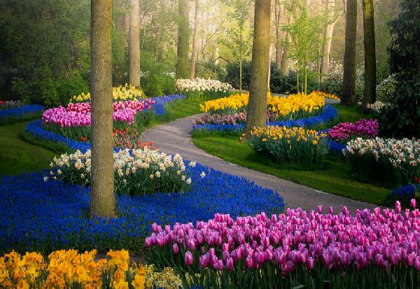 Kaко изгледа најубавата цветна градина на светот без посетители?