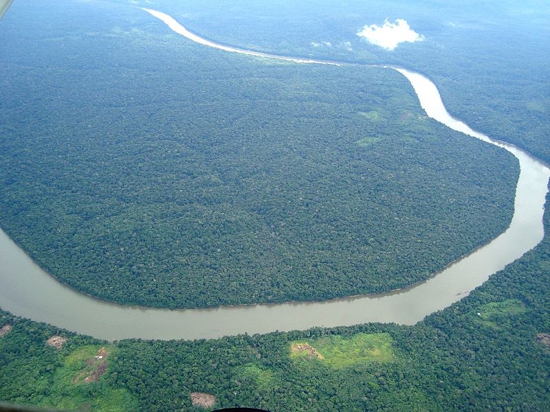 Еколозите предупредуваат: Следната пандемија би можела да започне од амазонските прашуми