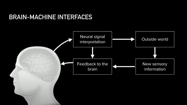 Новиот стартап на Илон Маск ќе овозможи слушање музика преку уред директно поврзан со мозокот