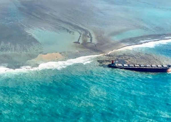 Жителите на Маврициус ја кратат косата за да помогнат во чистењето на нафтата од морето