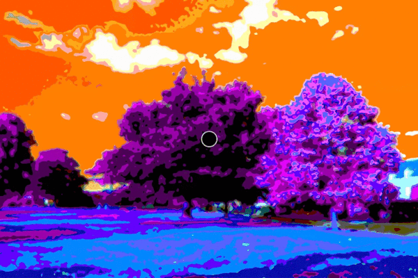 оптичка илузија