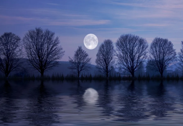 Полната месечина што ќе се појави на небото оваа недела се случува еднаш на 3 години