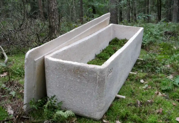 Одржан првиот погреб со употреба на „жив ковчег“, направен од влакна од печурки