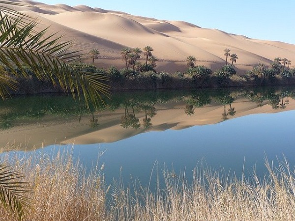 Сахара позеленува на секои 23.000 години - кога повторно ќе се случи тоа?
