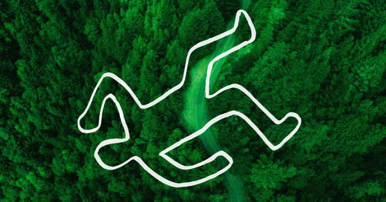 Растенијата прават нешто чудно кога растат близу човечки трупови, велат научниците