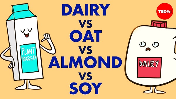 Кое млеко е најдобро за вас, а кое за животната средина?