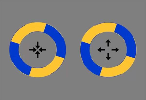 Оптичка илузија со кругови што се вртат стана интернет-сензација